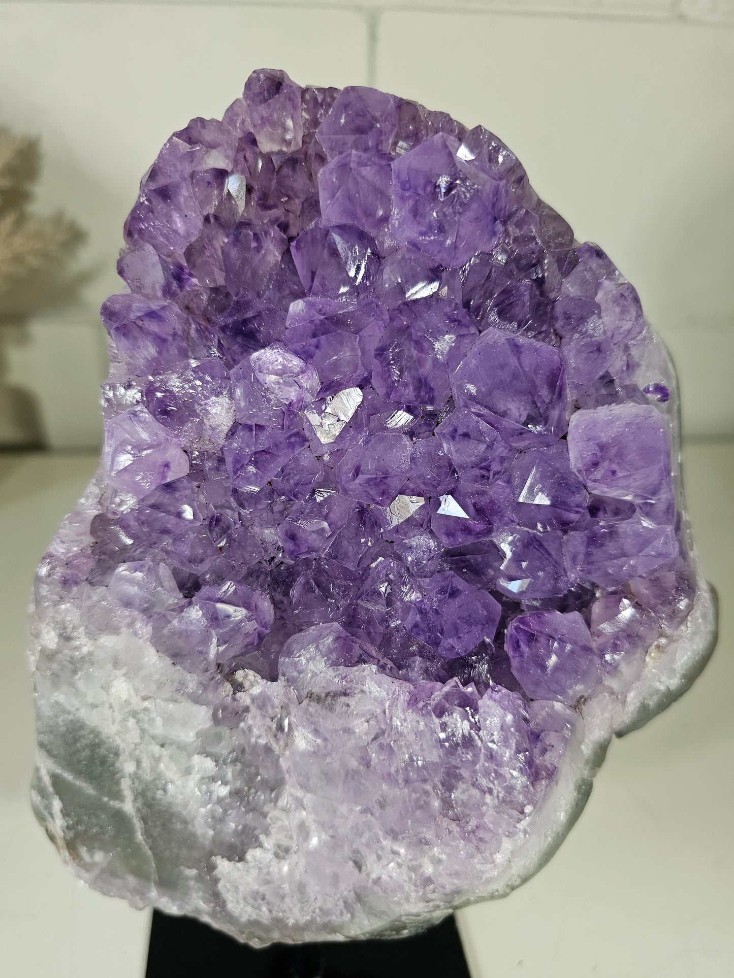 5.89 Lb Natural Amethyst Quartz Crystal Druzy on Stand (A57)