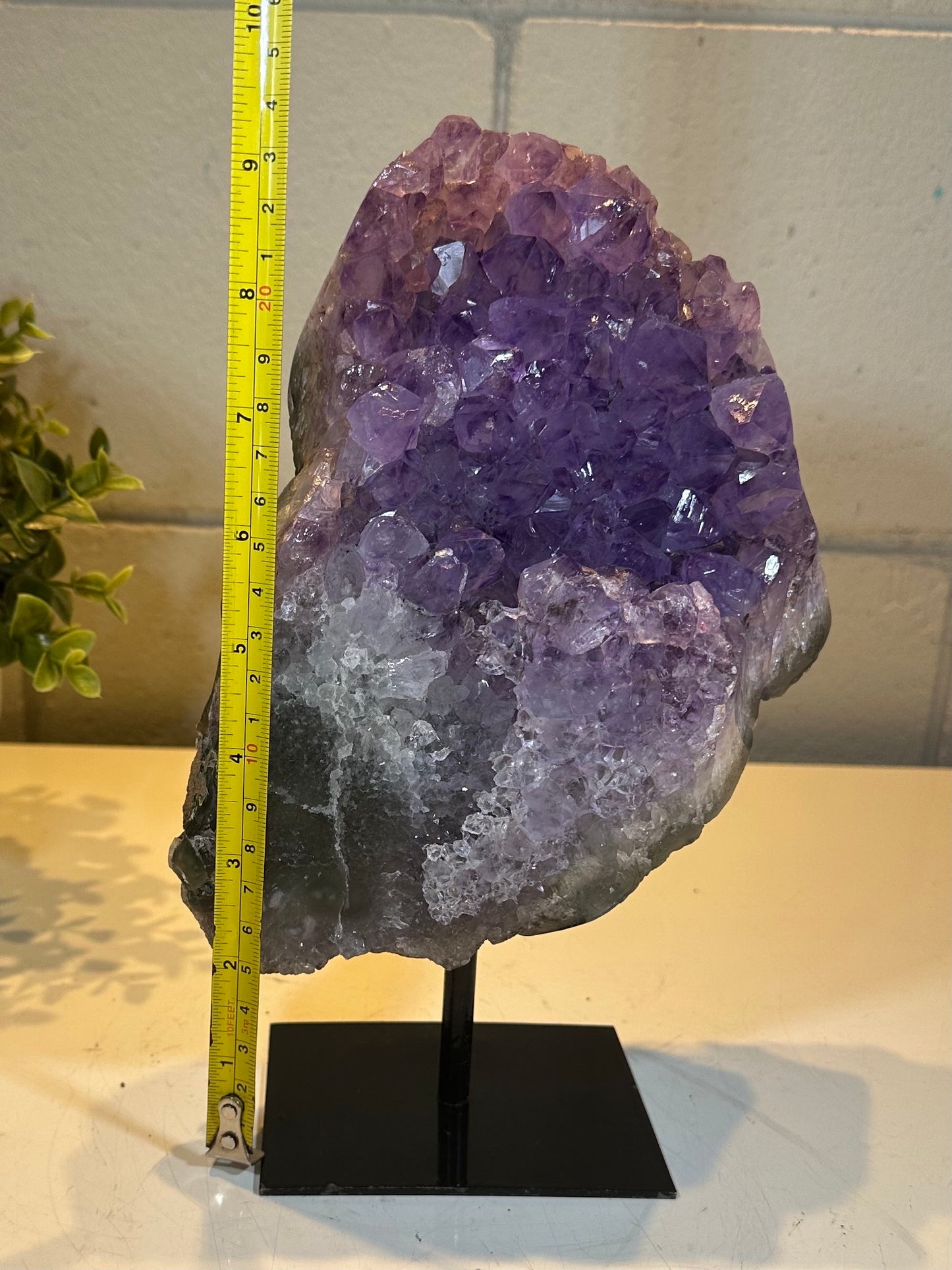 5.89 Lb Natural Amethyst Quartz Crystal Druzy on Stand (A57)