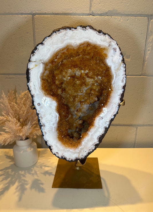 20.02 LB AAA CITRINE Quartz Crystal Druzy Large on Stand (A16)