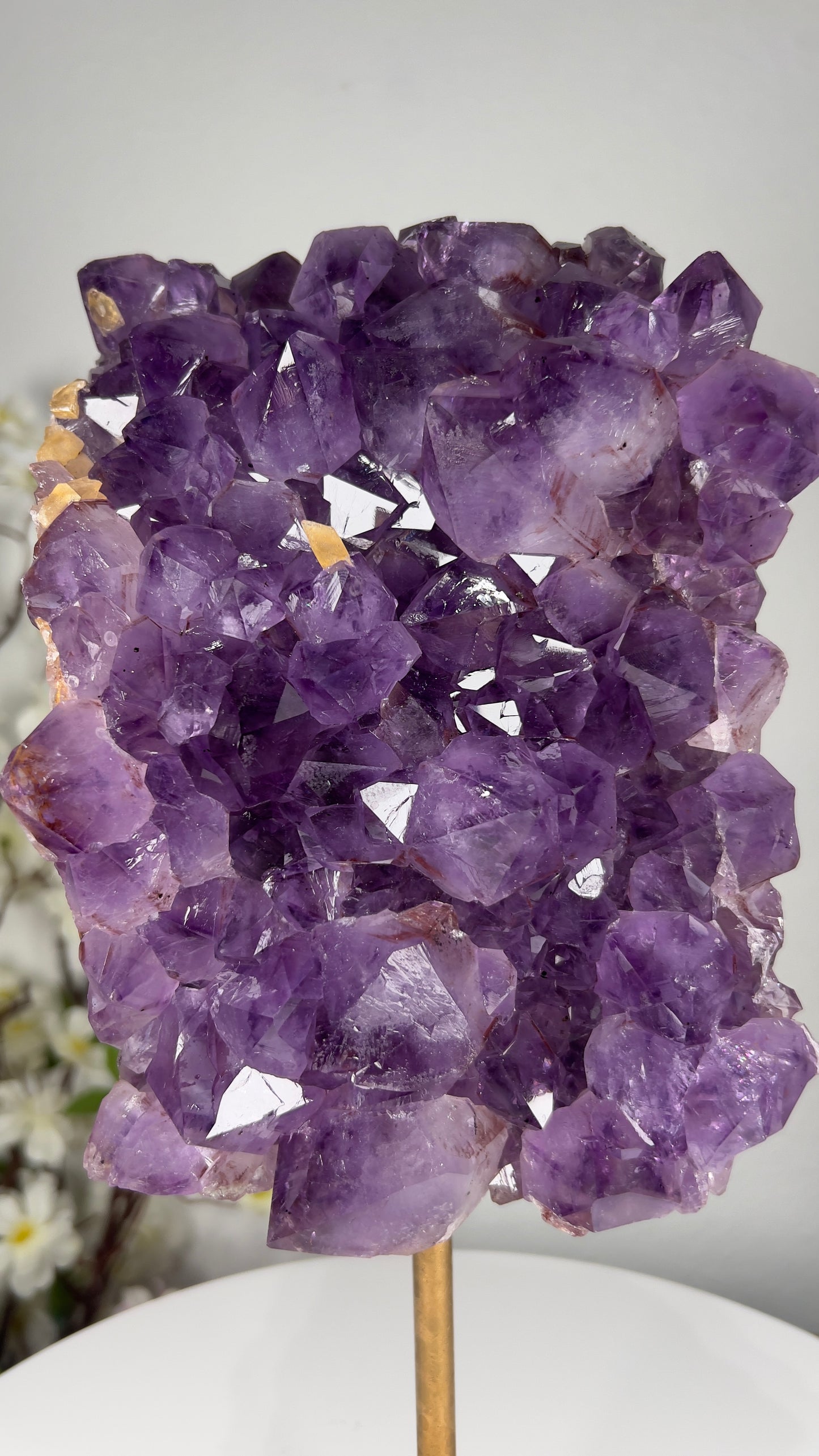 Natural Amethyst Rutilated on Stand - A00025