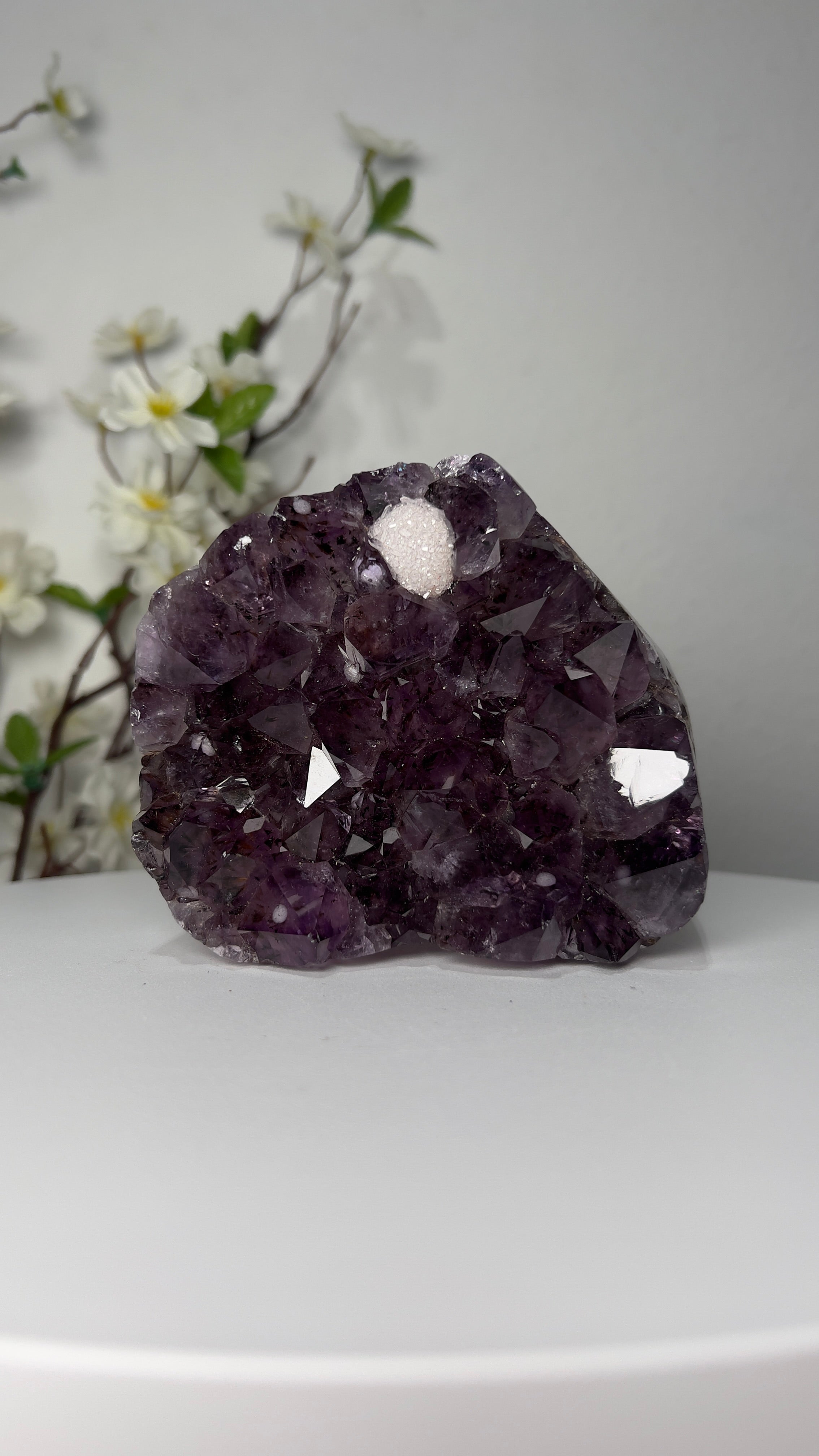 Collections – TGS Minerals