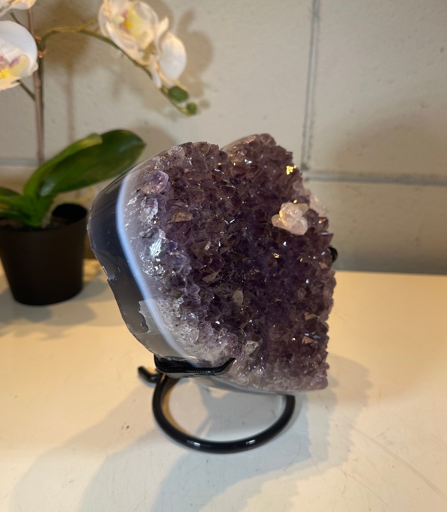 5.28 LB AAA Heart Amethyst/Quartz Quartz Crystal Druzy Dark Purple on Stand (A17)